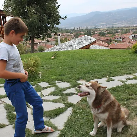 Casa de Férias Eco Village Under The Cliffs *